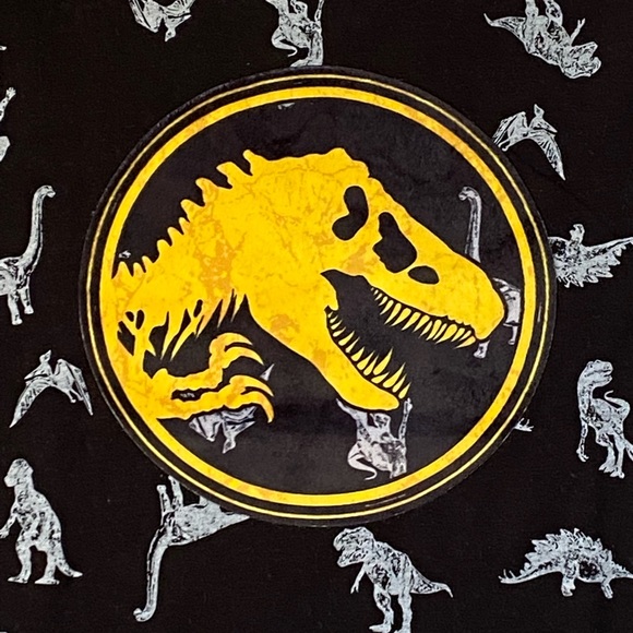 Boy clothes Jurassic world dinosaur shirt size 5 - Picture 2 of 4